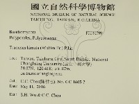 登錄號:F0030799藏品圖，第2張