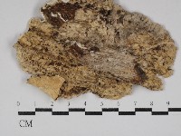 登錄號:F0030799藏品圖，第3張