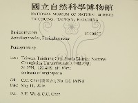 筍殼菌屬藏品圖，第2張