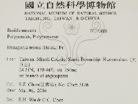 登錄號:F0030801藏品圖，第2張