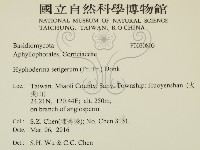 剛毛絲皮菌藏品圖，第2張