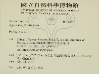 登錄號:F0030807藏品圖，第2張