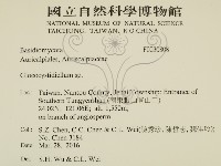 登錄號:F0030808藏品圖，第2張