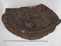 登錄號:F0030809藏品圖，第1張