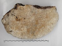 登錄號:F0030809藏品圖，第3張