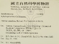 登錄號:F0030810藏品圖，第2張