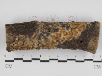 登錄號:F0030811藏品圖，第1張