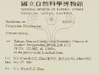 登錄號:F0030812藏品圖，第2張