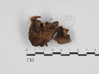 登錄號:F0030812藏品圖，第1張