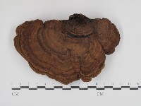 登錄號:F0030814藏品圖，第1張