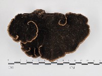 登錄號:F0030814藏品圖，第3張