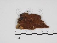登錄號:F0030816藏品圖，第1張