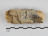 登錄號:F0030820藏品圖，第1張