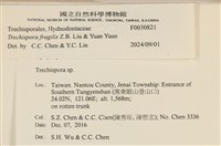 登錄號:F0030821藏品圖，第3張