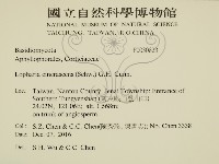 登錄號:F0030823藏品圖，第2張