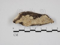 登錄號:F0030823藏品圖，第1張