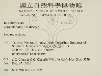刺皮菌屬藏品圖，第2張