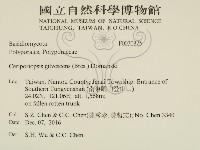 登錄號:F0030825藏品圖，第2張