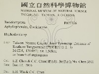 絲齒菌屬藏品圖，第2張