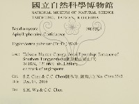 登錄號:F0030827藏品圖，第2張