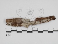 登錄號:F0030827藏品圖，第1張