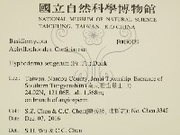 剛毛絲皮菌藏品圖，第2張