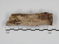 登錄號:F0030830藏品圖，第1張