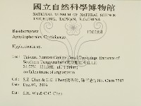 絲齒菌屬藏品圖，第2張