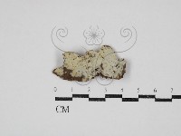 登錄號:F0030832藏品圖，第1張