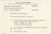 登錄號:F0030833藏品圖，第3張