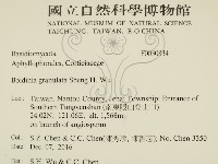 登錄號:F0030834藏品圖，第2張