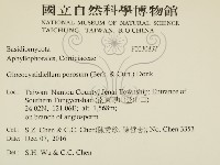 登錄號:F0030837藏品圖，第2張