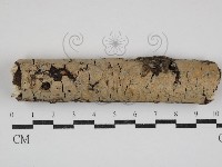 登錄號:F0030838藏品圖，第1張