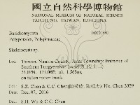 骨皮菌屬藏品圖，第2張