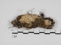 登錄號:F0030844藏品圖，第1張