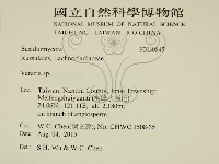 登錄號:F0030845藏品圖，第2張