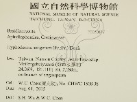 剛毛絲皮菌藏品圖，第2張