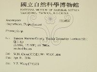 登錄號:F0030849藏品圖，第2張