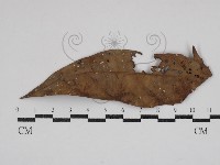 登錄號:F0030849藏品圖，第1張