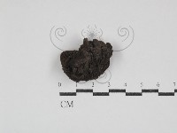 登錄號:F0030850藏品圖，第3張