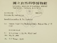 登錄號:F0030852藏品圖，第2張