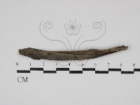 登錄號:F0030854藏品圖，第1張