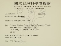 登錄號:F0030855藏品圖，第2張