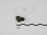 登錄號:F0030855藏品圖，第1張