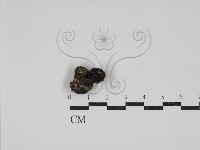 登錄號:F0030855藏品圖，第3張