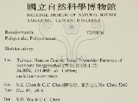 骨皮菌屬藏品圖，第2張