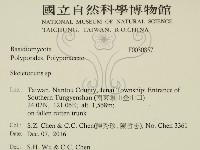 骨皮菌屬藏品圖，第2張