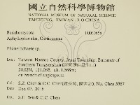 顯絲菌屬藏品圖，第2張