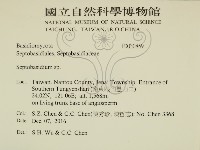 登錄號:F0030859藏品圖，第2張