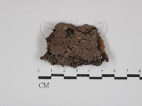 登錄號:F0030859藏品圖，第1張